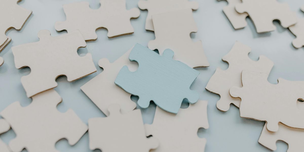 Prenatal Cannabis Disrupts Neurodevelopment into Adulthood