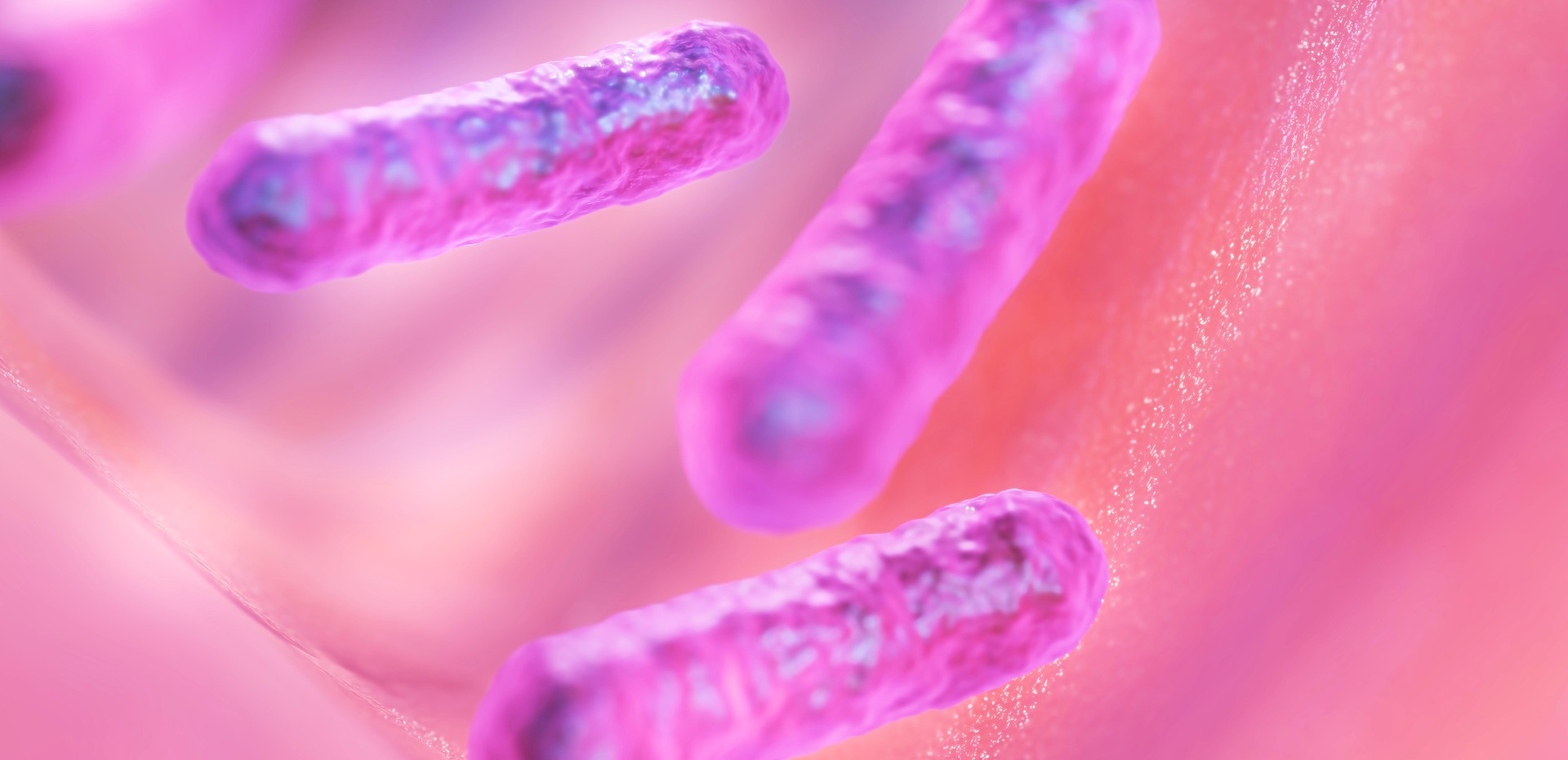 Bacteria in the Urinary Tract Found to Produce Testosterone