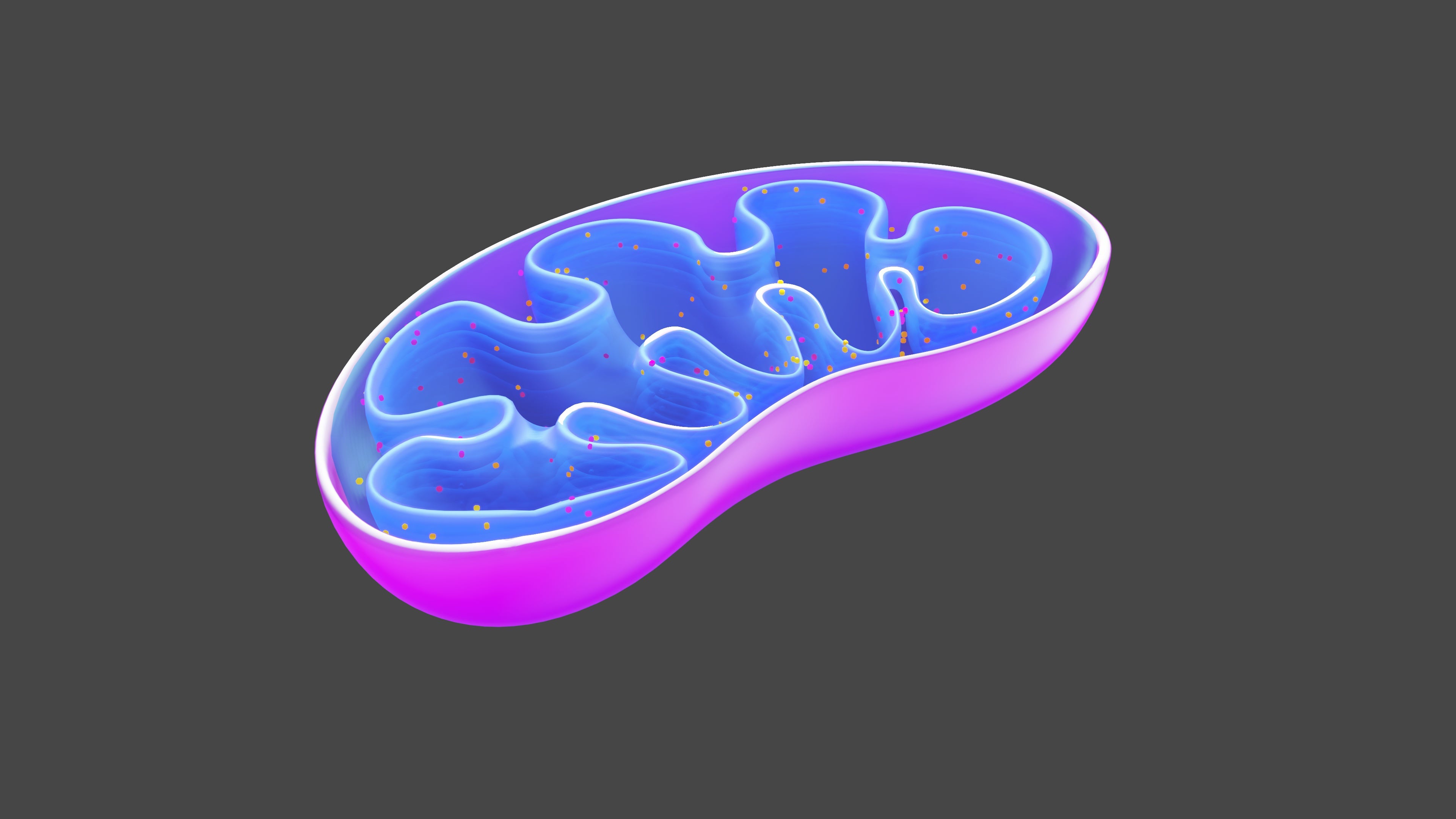 New Tool for Imaging Cristae Structure & Electrical Flickers