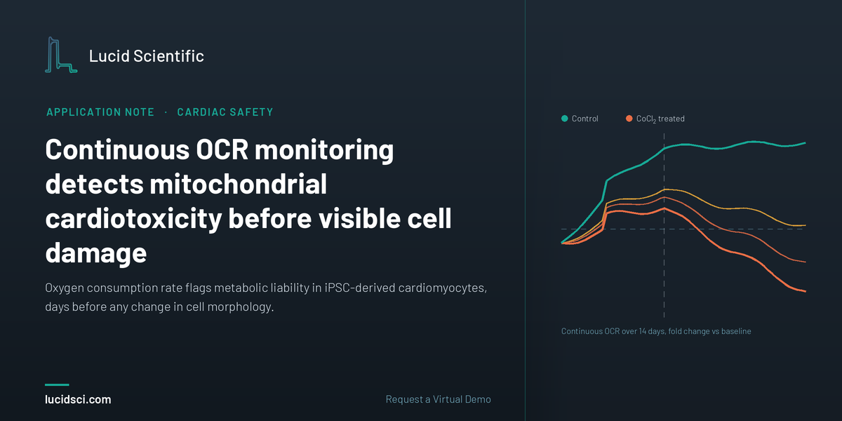 Continuous OCR Monitoring Detects Mitochondrial Cardiotoxicity Before Visible Cell Damage