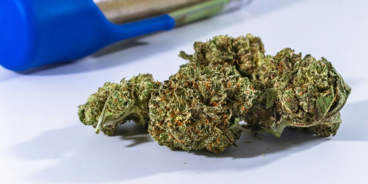 'No Evidence' that Cannabis Helps Chronic Neuropathic Pain