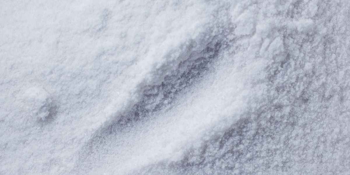 Does Creatine Help with Depression?