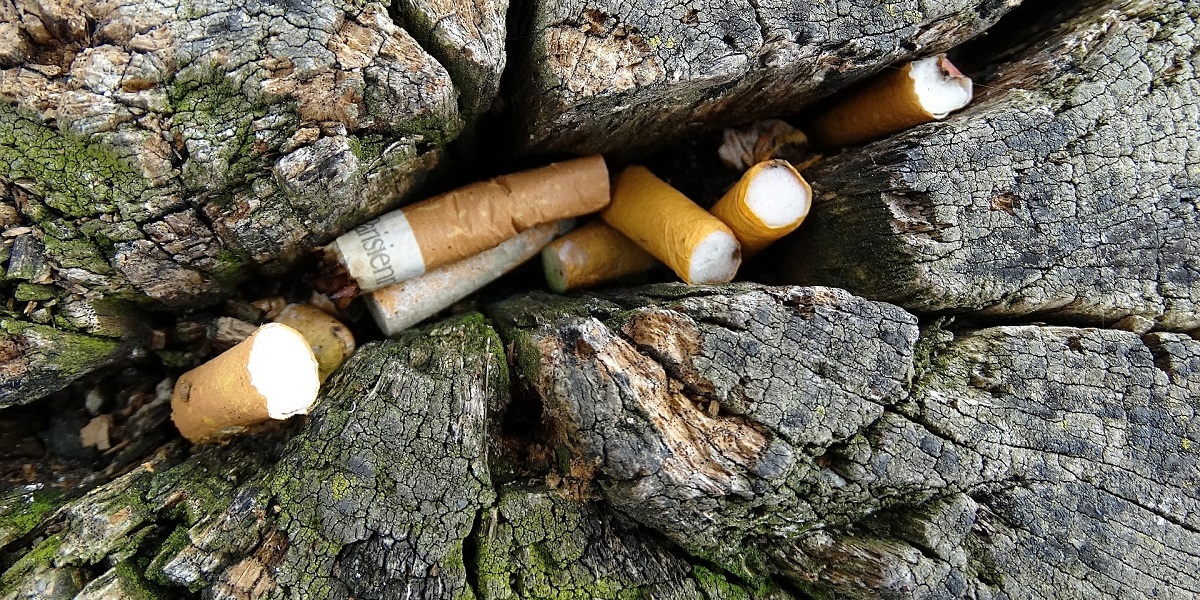 The Environmental Damage of Cigarette Litter Earth And The Environment