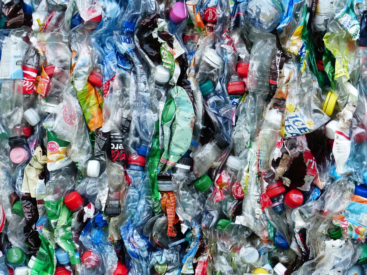 Scientists Upcycle Plastics to Fight Climate Change | Earth And The Environment - Vimarsana News