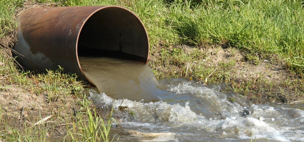 These Special Sewage Bacteria Can Turn Dirty Water Into Energy
