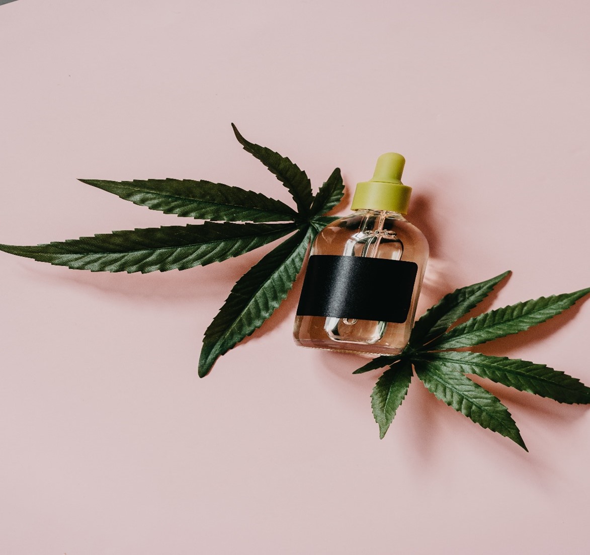 Acute Intoxication Effects of Legal-Market High-Potency THC-Enriched vs. CBD-Enriched Cannabis Concentrates - Vimarsana News