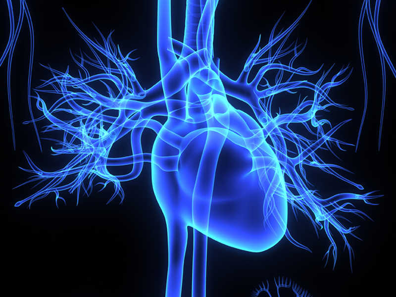 The Intricate Relationship Between Zinc and Cardiac Function Health