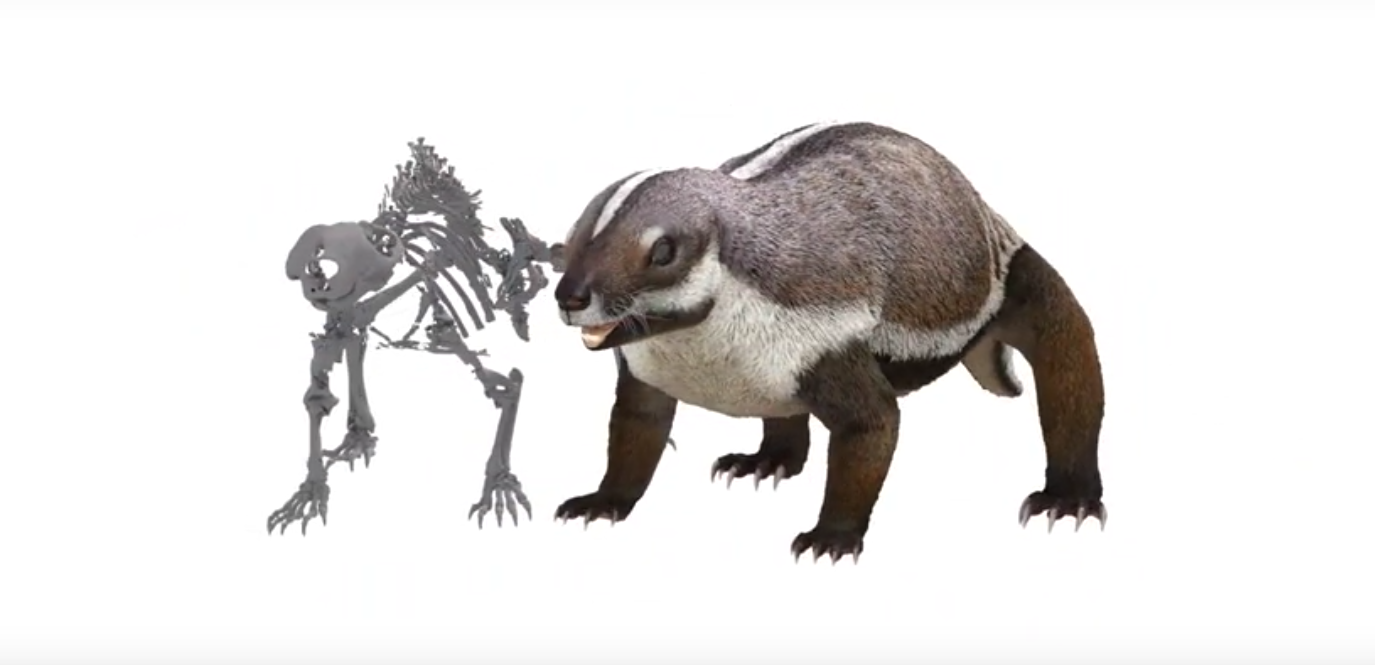 A Beast Crazy Enough to Live with Dinosaurs | Plants And Animals - Vimarsana News