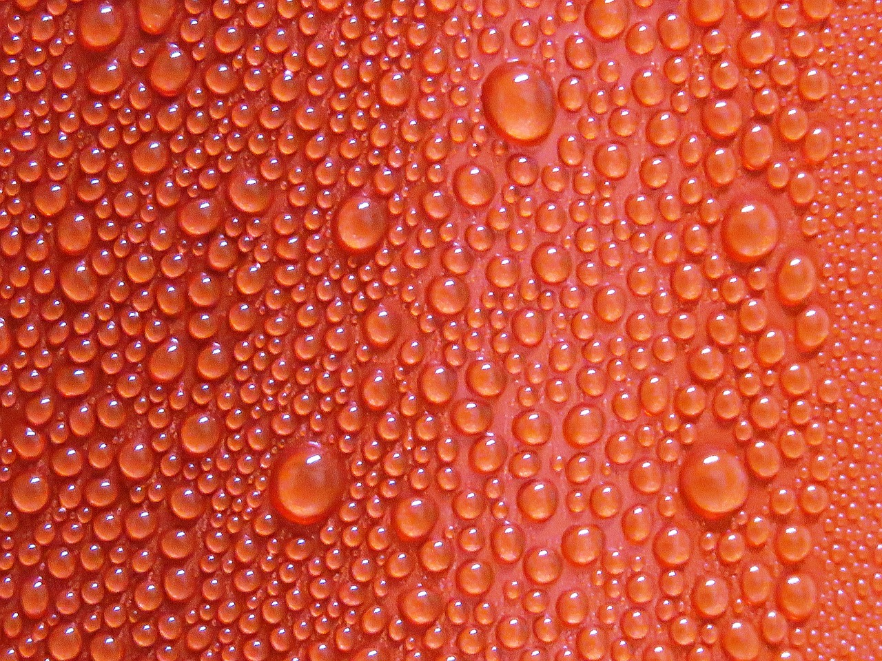 Biofilm can convert energy from evaporation into electricity - Vimarsana News