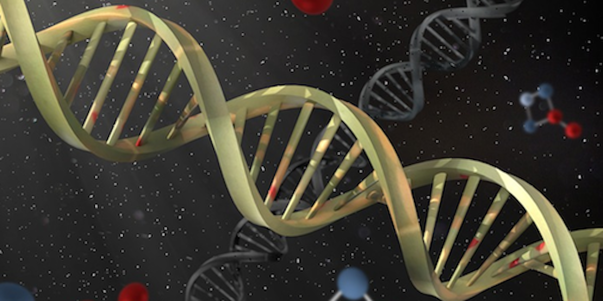 New Genes Can Form From 'Jumping" Gene Fusions And Genomics