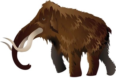 Humans, not climate, contributed to mammal community similarities 10,000+ years ago - Vimarsana News