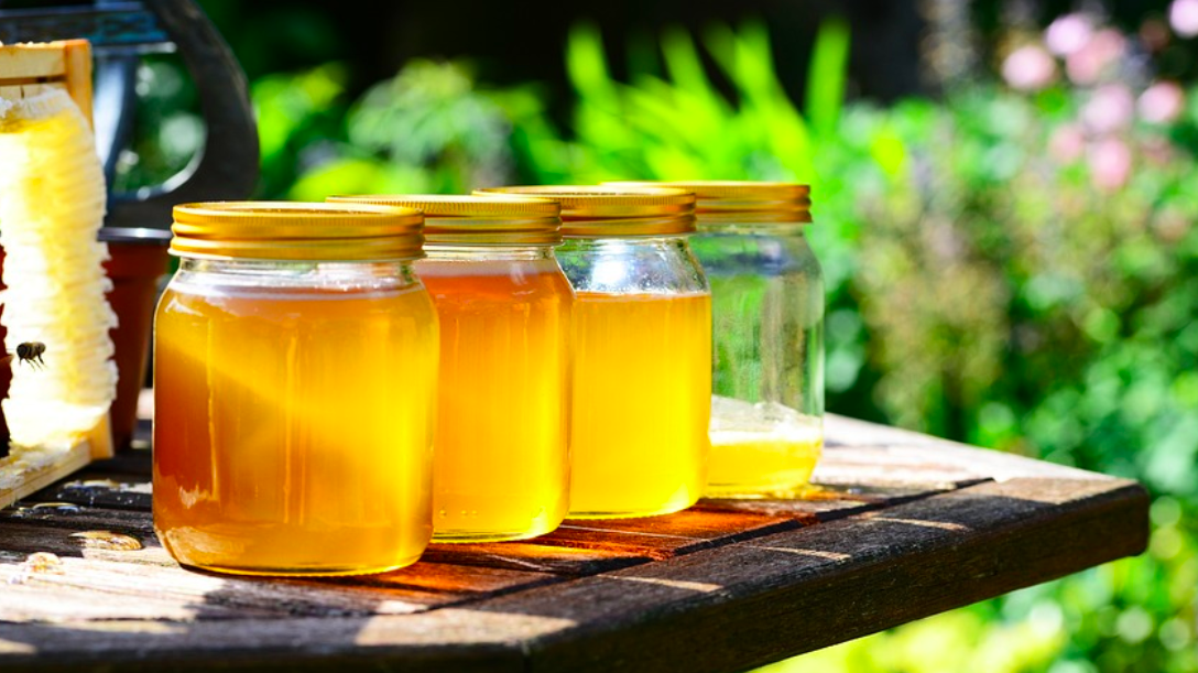 Oxymel A Honey & Vinegar Mix Has Antibacterial Power Microbiology