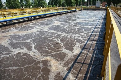 New 'future-proof' method could remove phosphorus from wastewater using bacteria - Vimarsana News