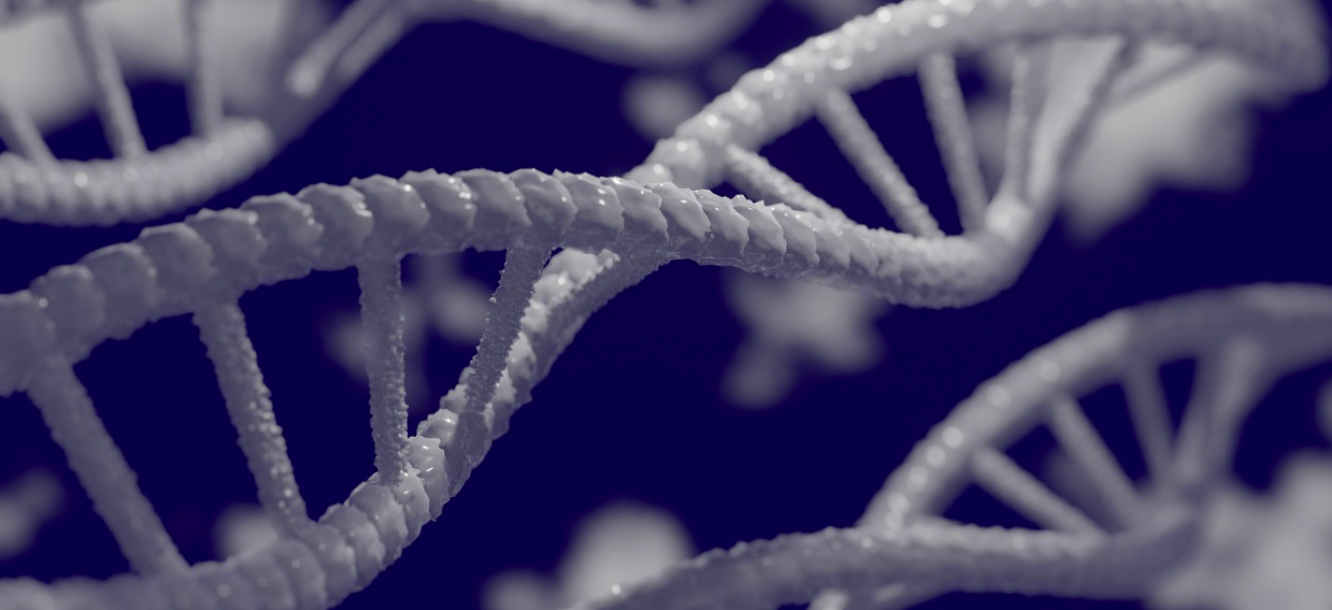 Genetic Inversions Seem to be More Common Than We Knew | Genetics And ...