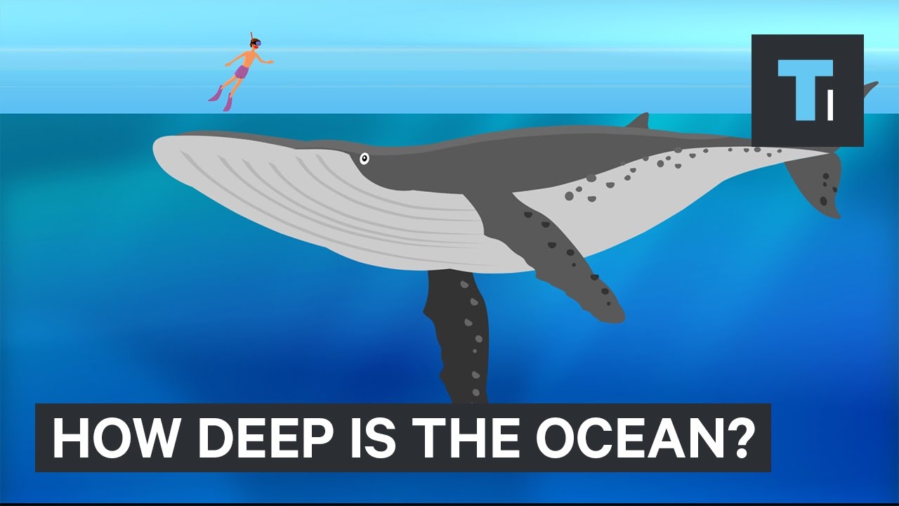 How deep is the ocean really? Videos