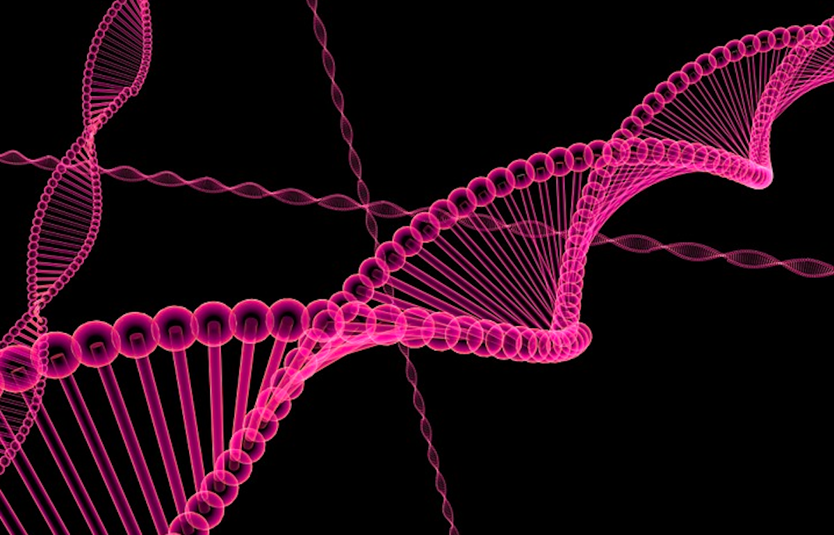 Stopping a Jumping Gene Invasion And Genomics