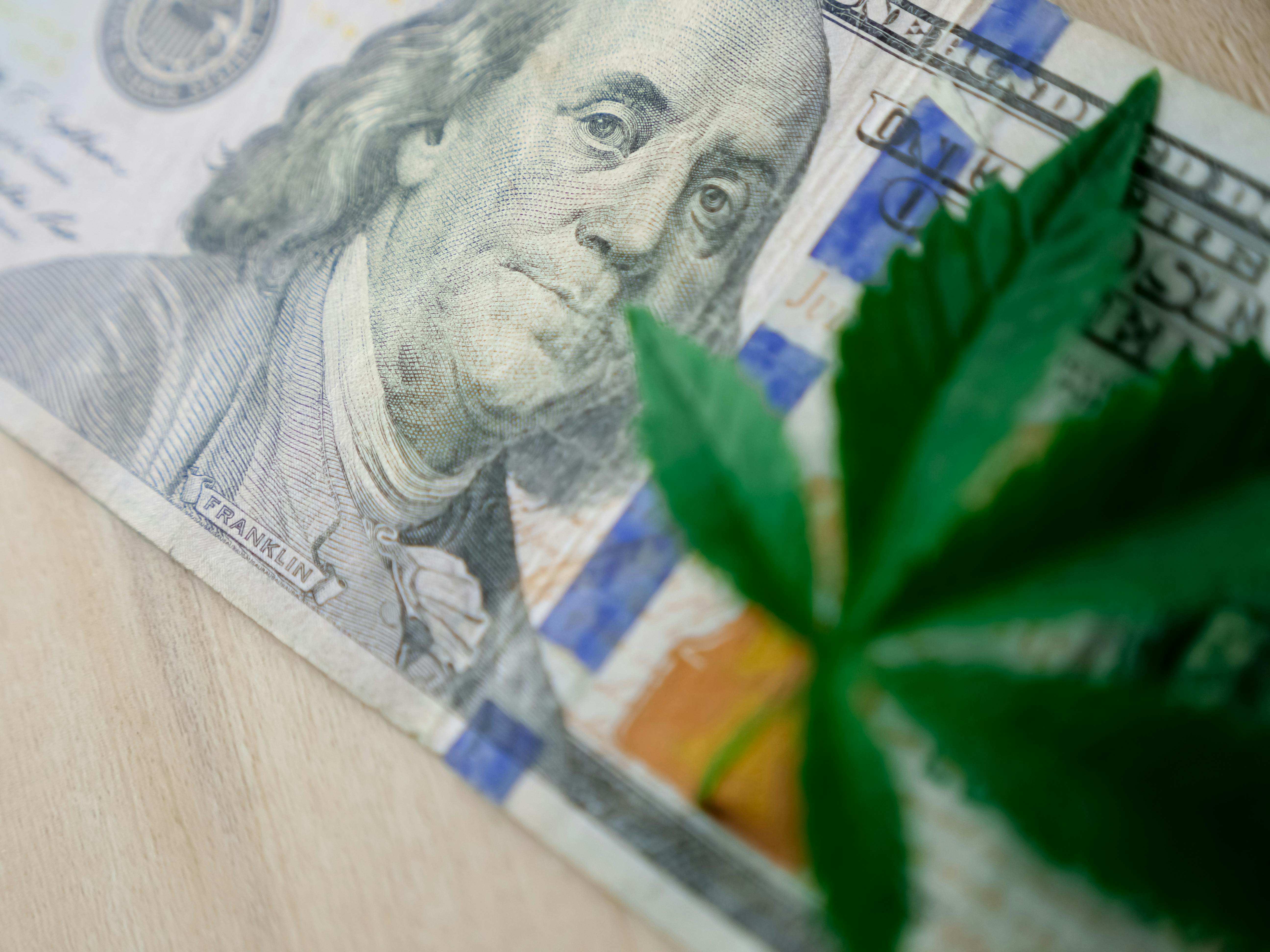 State-Regulated Recreational Cannabis Markets Displace the Illegal Cannabis Market Supply