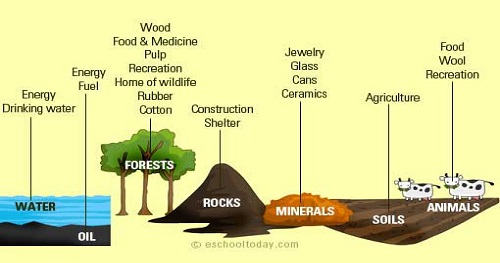 Natural Resources | | Content Tag