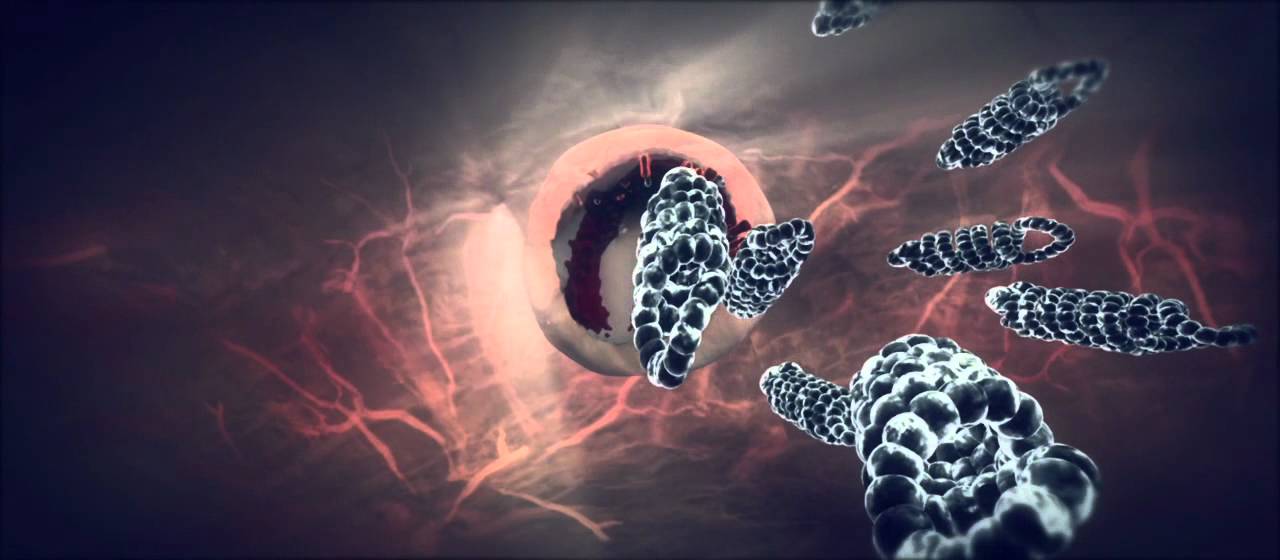 rabies the virus and its mechanisms essay rabies the virus and its mechanisms essay