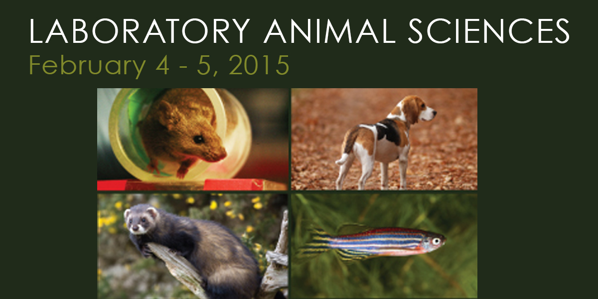 Laboratory Animal Sciences