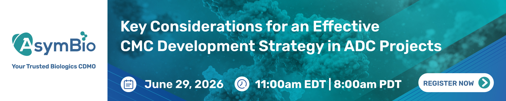 Key Considerations for an Effective CMC Development Strategy in ADC ...