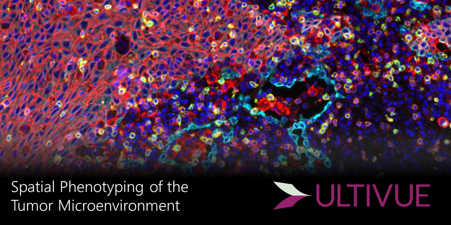 Spatial Phenotyping of the Tumor Microenvironment
