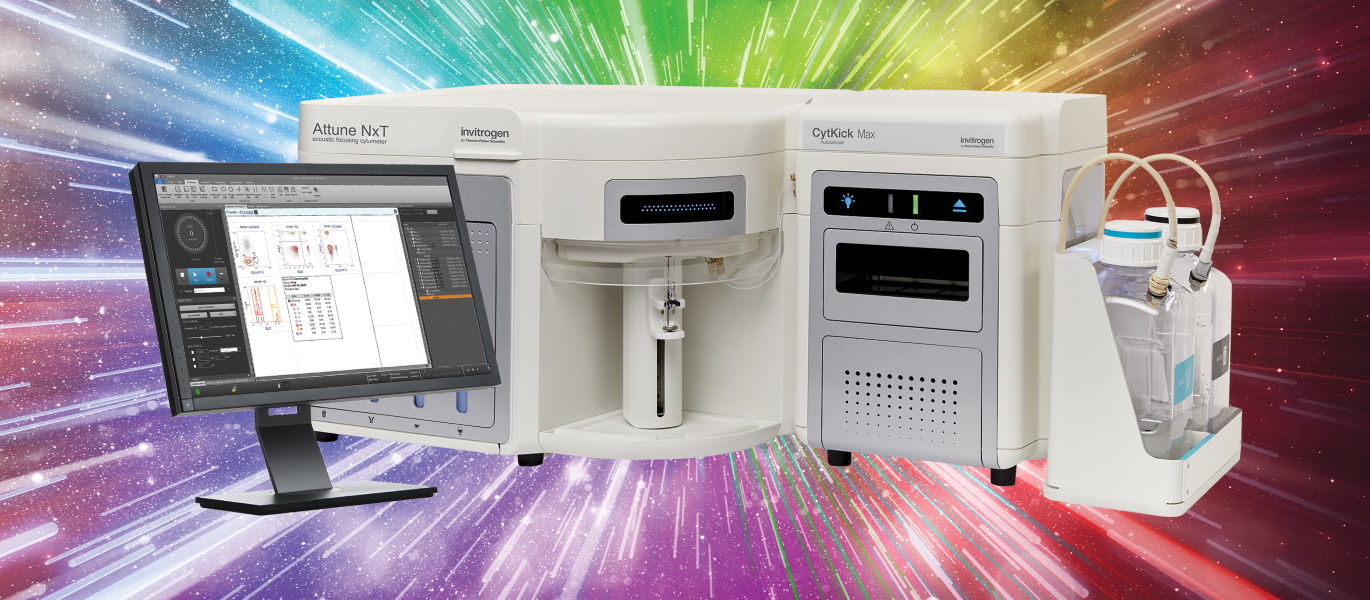 Endpoint assays for the characterization of rare and therapyresistant