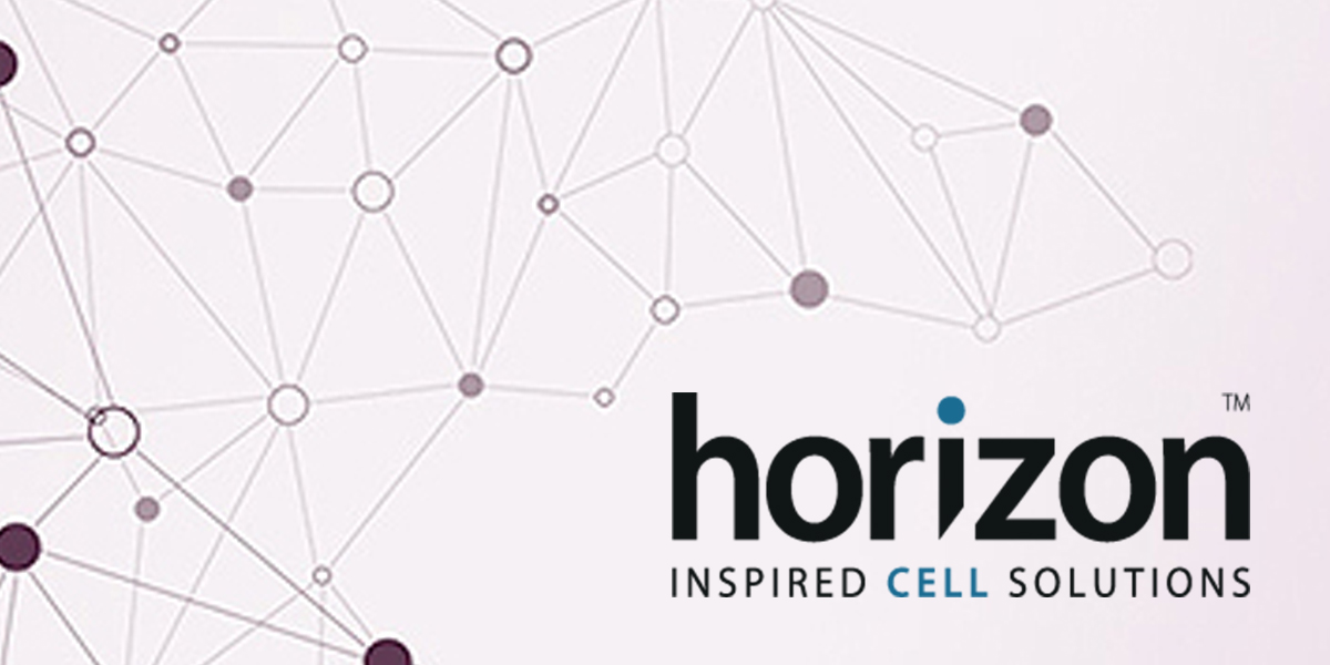 High Throughput Crispr Cas9 Genome Engineering In Primary T Cells