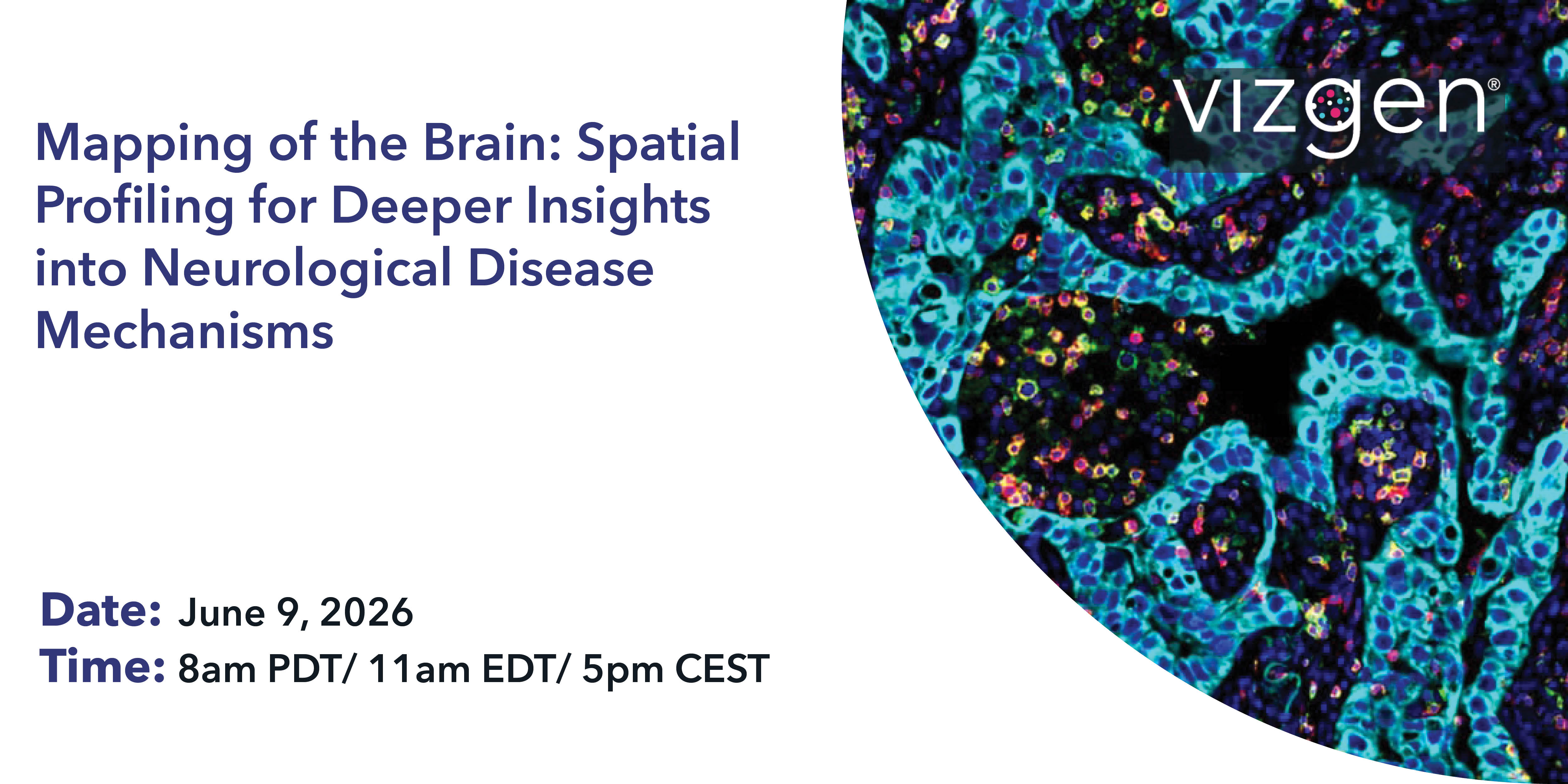 Spatial Profiling Mapping of the Brain: Spatial Profiling for Deeper Insights into ...